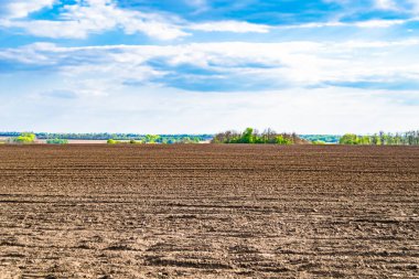 Organik hasat için büyük boş tarla fotoğrafları, gökyüzü arka planında hasat için büyük boş tarım tarlalarından oluşan fotoğraf, bu sonbahar mevsiminde hasat için boş tarla.