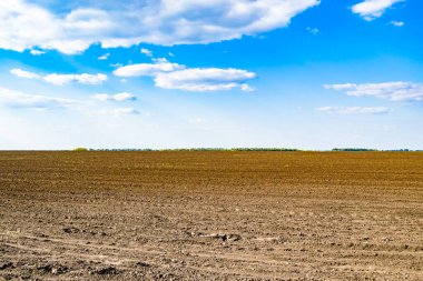 Organik hasat için büyük boş tarla fotoğrafları, gökyüzü arka planında hasat için büyük boş tarım tarlalarından oluşan fotoğraf, bu sonbahar mevsiminde hasat için boş tarla.