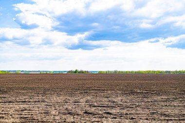 Organik hasat için büyük boş tarla fotoğrafları, gökyüzü arka planında hasat için büyük boş tarım tarlalarından oluşan fotoğraf, bu sonbahar mevsiminde hasat için boş tarla.