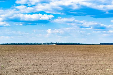 Organik hasat için büyük boş tarla fotoğrafları, gökyüzü arka planında hasat için büyük boş tarım tarlalarından oluşan fotoğraf, bu sonbahar mevsiminde hasat için boş tarla.