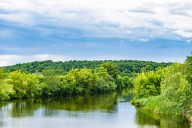 Kırsal kesimde yetişen güzel ot sazları renkli arka planda yetişiyor. Islak sularda vahşi ot bataklık kamışları, doğadan gelen uzun çimen kamışları.