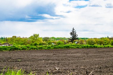 Organik hasat için büyük boş tarla fotoğrafları, gökyüzü arka planında hasat için büyük boş tarım tarlalarından oluşan fotoğraf, bu sonbahar mevsiminde hasat için boş tarla.