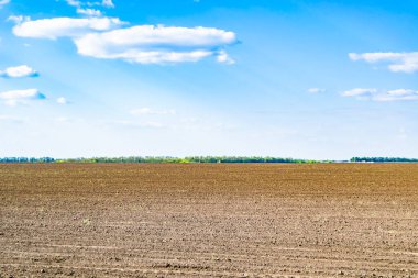 Organik hasat için büyük boş tarla fotoğrafları, gökyüzü arka planında hasat için büyük boş tarım tarlalarından oluşan fotoğraf, bu sonbahar mevsiminde hasat için boş tarla.