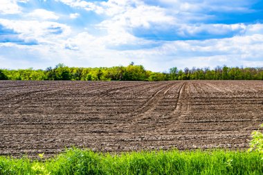 Organik hasat için büyük boş tarla fotoğrafları, gökyüzü arka planında hasat için büyük boş tarım tarlalarından oluşan fotoğraf, bu sonbahar mevsiminde hasat için boş tarla.