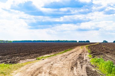 Organik hasat için büyük boş tarla fotoğrafları, gökyüzü arka planında hasat için büyük boş tarım tarlalarından oluşan fotoğraf, bu sonbahar mevsiminde hasat için boş tarla.