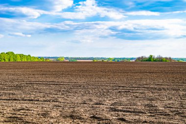 Organik hasat için büyük boş tarla fotoğrafları, gökyüzü arka planında hasat için büyük boş tarım tarlalarından oluşan fotoğraf, bu sonbahar mevsiminde hasat için boş tarla.