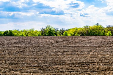 Organik hasat için büyük boş tarla fotoğrafları, gökyüzü arka planında hasat için büyük boş tarım tarlalarından oluşan fotoğraf, bu sonbahar mevsiminde hasat için boş tarla.