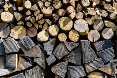 Temalı büyük bir meşe ağacı kütüğü duvarı, doğal arka planda eski meşe kütükleri, çeşitli çizgilerle dokulu geleneksel meşe ağacı kütükleri.