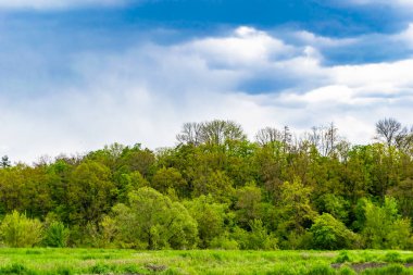 Renkli doğal arka plan üzerine köy çayırında güzel bir ufuk manzarası, uzun çayırdaki çayır köyünde ufuk manzarası, hayvan için köy otlağındaki ufuk doğa manzarası.