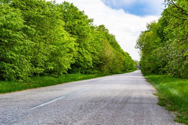 Renkli arka planda güzel boş asfalt yol, kırsal alandan geçen yeni boş asfalt yol, yeşillik kırsalında hız arabası için boş asfalt yol.