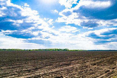 Organik hasat için büyük boş tarla fotoğrafları, gökyüzü arka planında hasat için büyük boş tarım tarlalarından oluşan fotoğraf, bu sonbahar mevsiminde hasat için boş tarla.