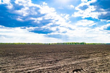 Organik hasat için büyük boş tarla fotoğrafları, gökyüzü arka planında hasat için büyük boş tarım tarlalarından oluşan fotoğraf, bu sonbahar mevsiminde hasat için boş tarla.
