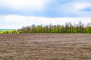 Organik hasat için büyük boş tarla fotoğrafları, gökyüzü arka planında hasat için büyük boş tarım tarlalarından oluşan fotoğraf, bu sonbahar mevsiminde hasat için boş tarla.