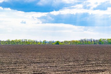 Organik hasat için büyük boş tarla fotoğrafları, gökyüzü arka planında hasat için büyük boş tarım tarlalarından oluşan fotoğraf, bu sonbahar mevsiminde hasat için boş tarla.