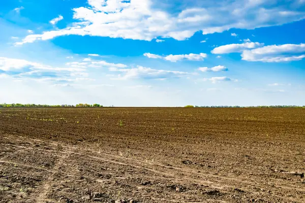 Organik hasat için büyük boş tarla fotoğrafları, gökyüzü arka planında hasat için büyük boş tarım tarlalarından oluşan fotoğraf, bu sonbahar mevsiminde hasat için boş tarla.