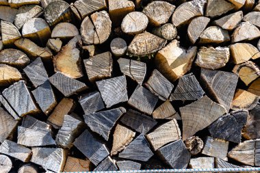 Temalı büyük bir meşe ağacı kütüğü duvarı, doğal arka planda eski meşe kütükleri, çeşitli çizgilerle dokulu geleneksel meşe ağacı kütükleri.