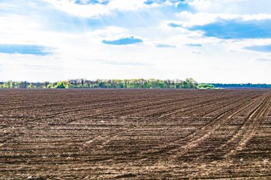 Organik hasat için büyük boş tarla fotoğrafları, gökyüzü arka planında hasat için büyük boş tarım tarlalarından oluşan fotoğraf, bu sonbahar mevsiminde hasat için boş tarla.