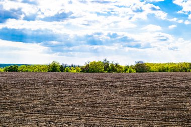 Organik hasat için büyük boş tarla fotoğrafları, gökyüzü arka planında hasat için büyük boş tarım tarlalarından oluşan fotoğraf, bu sonbahar mevsiminde hasat için boş tarla.