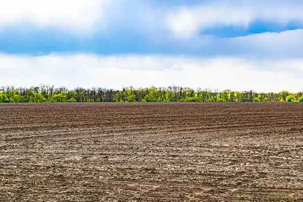 Organik hasat için büyük boş tarla fotoğrafları, gökyüzü arka planında hasat için büyük boş tarım tarlalarından oluşan fotoğraf, bu sonbahar mevsiminde hasat için boş tarla.