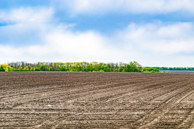 Organik hasat için büyük boş tarla fotoğrafları, gökyüzü arka planında hasat için büyük boş tarım tarlalarından oluşan fotoğraf, bu sonbahar mevsiminde hasat için boş tarla.
