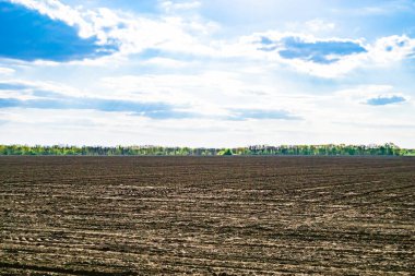 Organik hasat için büyük boş tarla fotoğrafları, gökyüzü arka planında hasat için büyük boş tarım tarlalarından oluşan fotoğraf, bu sonbahar mevsiminde hasat için boş tarla.