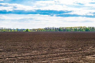 Organik hasat için büyük boş tarla fotoğrafları, gökyüzü arka planında hasat için büyük boş tarım tarlalarından oluşan fotoğraf, bu sonbahar mevsiminde hasat için boş tarla.