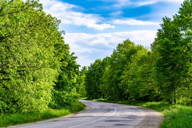 Renkli arka planda güzel boş asfalt yol, kırsal alandan geçen yeni boş asfalt yol, yeşillik kırsalında hız arabası için boş asfalt yol.