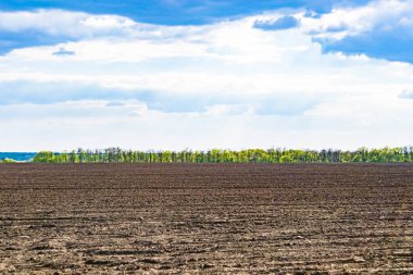 Organik hasat için büyük boş tarla fotoğrafları, gökyüzü arka planında hasat için büyük boş tarım tarlalarından oluşan fotoğraf, bu sonbahar mevsiminde hasat için boş tarla.