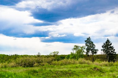 Renkli doğal arka plan üzerine köy çayırında güzel bir ufuk manzarası, uzun çayırdaki çayır köyünde ufuk manzarası, hayvan için köy otlağındaki ufuk doğa manzarası.
