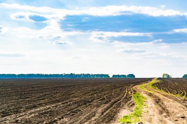 Organik hasat için büyük boş tarla fotoğrafları, gökyüzü arka planında hasat için büyük boş tarım tarlalarından oluşan fotoğraf, bu sonbahar mevsiminde hasat için boş tarla.