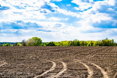 Organik hasat için büyük boş tarla fotoğrafları, gökyüzü arka planında hasat için büyük boş tarım tarlalarından oluşan fotoğraf, bu sonbahar mevsiminde hasat için boş tarla.
