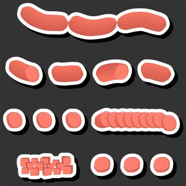 Tema üzerine resim büyük set farklı türlerde şarküteri et sosisleri, kolleksiyonlu doğal lezzetli et sosislerinden oluşan şarküteriler, sağlıklı et üzerine taze şarküteri sosisleri yemek,