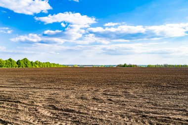 Organik hasat için büyük boş tarla fotoğrafları, gökyüzü arka planında hasat için büyük boş tarım tarlalarından oluşan fotoğraf, bu sonbahar mevsiminde hasat için boş tarla.