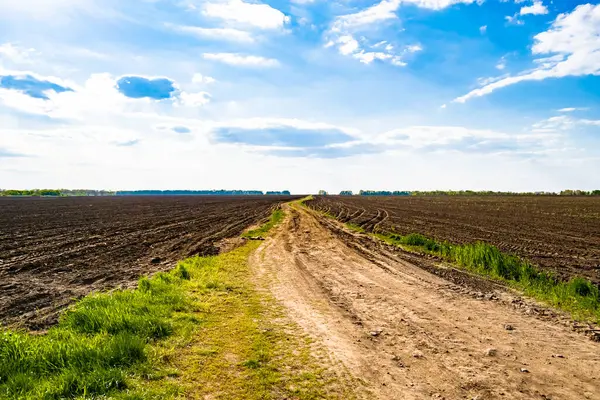 Photography on theme big empty farm field for organic harvest, photo consisting of large empty farm field for harvest on sky background, empty farm field for harvest this natural nature autumn season