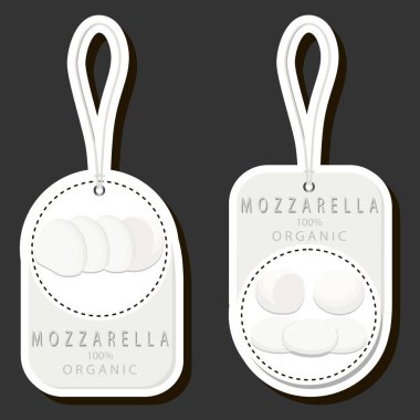 Tema üzerine resim. Lezzetli ev yapımı peynirli süt ürünleri çeşitli malzemelerden oluşuyor.