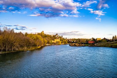Kırsal kesimde yetişen güzel ot sazları renkli arka planda yetişiyor. Islak sularda vahşi ot bataklık kamışları, doğadan gelen uzun çimen kamışları.