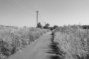 Renkli arka planda güzel boş asfalt yol, kırsal alandan geçen yeni boş asfalt yol, yeşillik kırsalında hız arabası için boş asfalt yol.