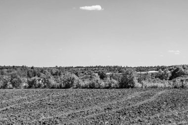 Organik hasat için büyük boş tarla fotoğrafları, gökyüzü arka planında hasat için büyük boş tarım tarlalarından oluşan fotoğraf, bu sonbahar mevsiminde hasat için boş tarla.