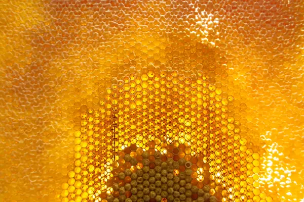 Drop of bee honey drip from hexagonal honeycombs filled with golden nectar, honeycombs summer composition consisting of drop natural honey, drip on wax frame bee, drop of bee honey drip in honeycombs