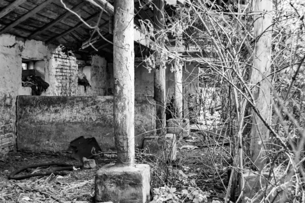 Tema üzerine fevkalade bir fotoğraf. Tuğla, eski su değirmeni. Nehir kenarındaki eski su değirmeninin kırsal kesimindeki büyük tuğla fabrikasının fotoğrafı.