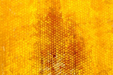 Altın nektarla dolu altıgen bal peteklerinden arı damlayan bal damlası, bal peteği yaz kompozisyonu doğal bal damlası, balmumu çerçeve arısına damlayan bal damlası, bal peteğine damlayan bal damlası