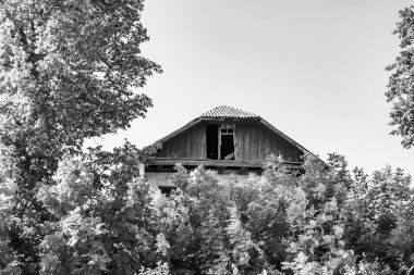 Doğal arka planda terk edilmiş güzel bir çiftlik evi, terk edilmiş eski bir çiftlik evi, gökyüzünün üzerinde terk edilmiş eski bir çiftlik evi.