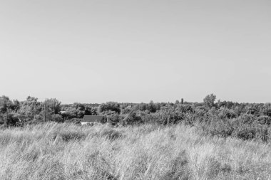 Doğal arka planda terk edilmiş güzel bir çiftlik evi, terk edilmiş eski bir çiftlik evi, gökyüzünün üzerinde terk edilmiş eski bir çiftlik evi.