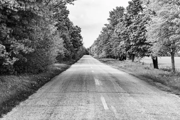 Beautiful empty asphalt road in countryside on dark background, photography consisting of new empty asphalt road passing through countryside, empty asphalt road for speed car in foliage countryside