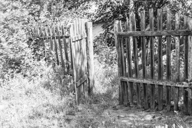 Doğal arka planda terk edilmiş bir evden güzel bir kapı, eski bir kapıdan köye, eski bir evden köye, vahşi, büyük, aydınlık bir yeşilliğe açılan eski bir evden oluşan bir fotoğraf.