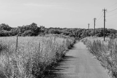 Renkli arka planda güzel boş asfalt yol, kırsal alandan geçen yeni boş asfalt yol, yeşillik kırsalında hız arabası için boş asfalt yol.