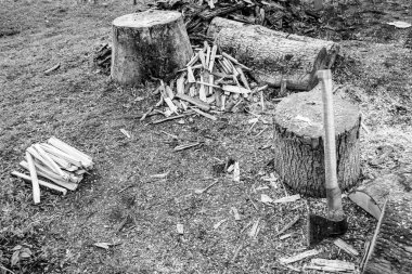 Temalı büyük çelik balta, tahta saplı metal balta, tahta kesim için eski balta, doğada bir baltadan oluşan fotoğraf, ana aksesuar erkek, hayatta kalmak için doğal balta