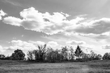 Renkli doğal arka plan üzerine köy çayırında güzel bir ufuk manzarası, uzun çayırdaki çayır köyünde ufuk manzarası, hayvan için köy otlağındaki ufuk doğa manzarası.