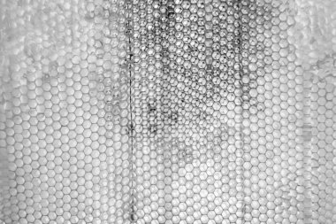 Altın nektarla dolu altıgen bal peteklerinden arı damlayan bal damlası, bal peteği yaz kompozisyonu doğal bal damlası, balmumu çerçeve arısına damlayan bal damlası, bal peteğine damlayan bal damlası