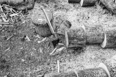 Temalı büyük çelik balta, tahta saplı metal balta, tahta kesim için eski balta, doğada bir baltadan oluşan fotoğraf, ana aksesuar erkek, hayatta kalmak için doğal balta